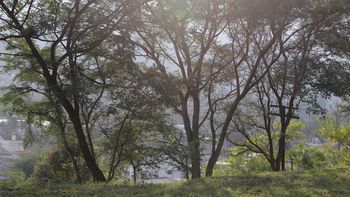 Se vienen días de más de 30°C en la capital jujeña