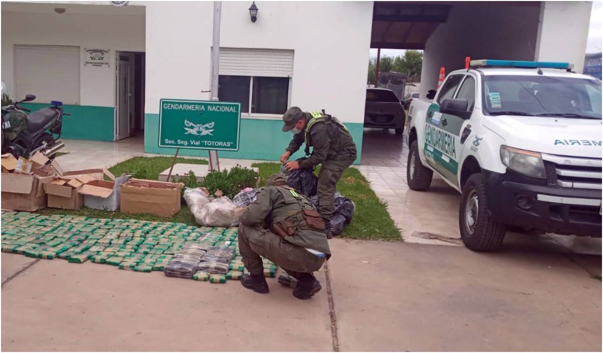 Incautan encomiendas enviadas desde Jujuy: habían más de 430 paquetes de hojas de coca