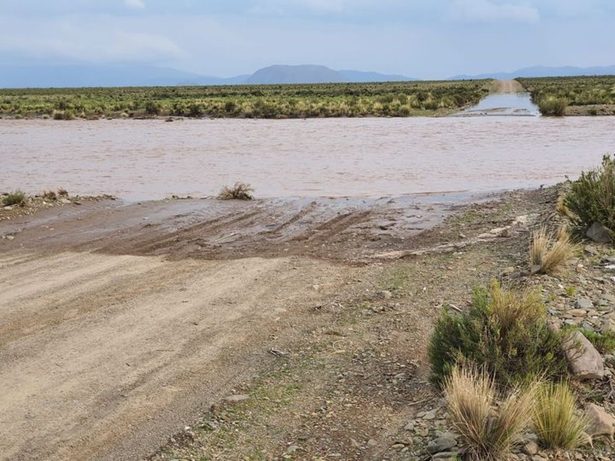 Tragedia en la Puna: camioneta fue arrastrada por un río y hay una víctima