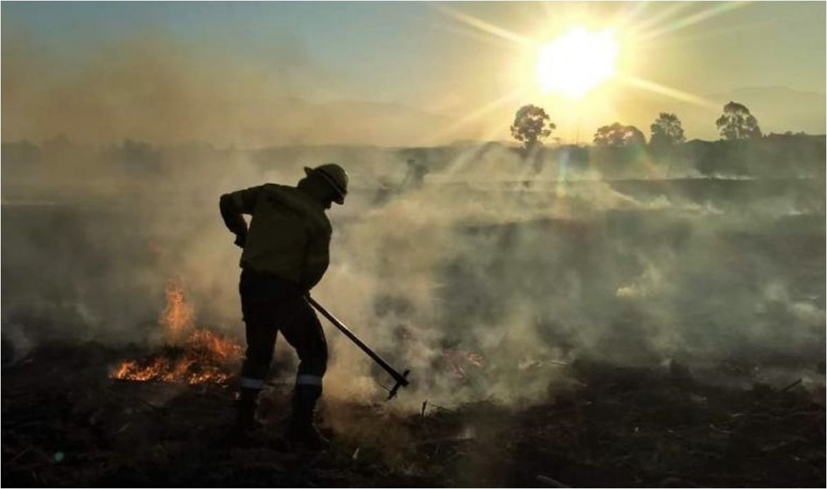 Incendios en las Yungas: dos semanas sin avances pero con muchos puntos calientes