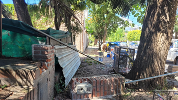 Los Perales: árboles peligrosos, obras sin consulta y desatención municipal