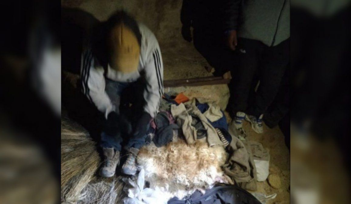 Cazador furtivo fue detenido con 45 cueros de vicuña