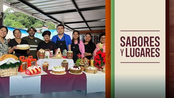 Sabores y Lugares: Tradición, hospedaje y espíritu navideño en Casa Roma