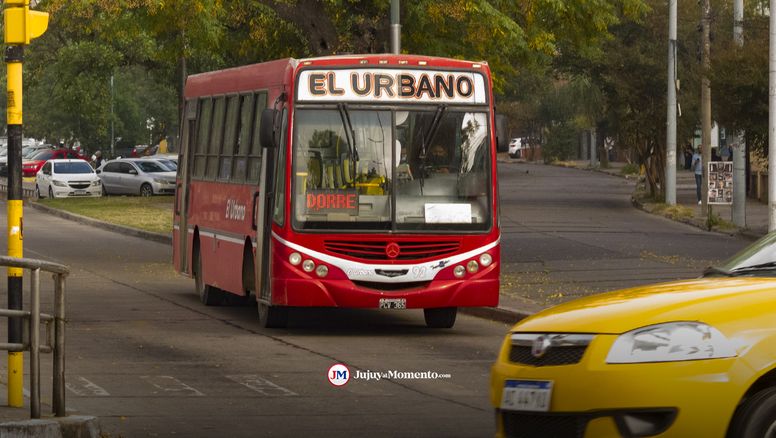 Colectivos reducidos y taxis con tarifa 2: los servicios del feriado