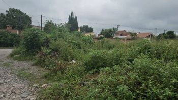 Dengue en El Carmen: hubo más de 130 multas por lotes baldíos abandonados