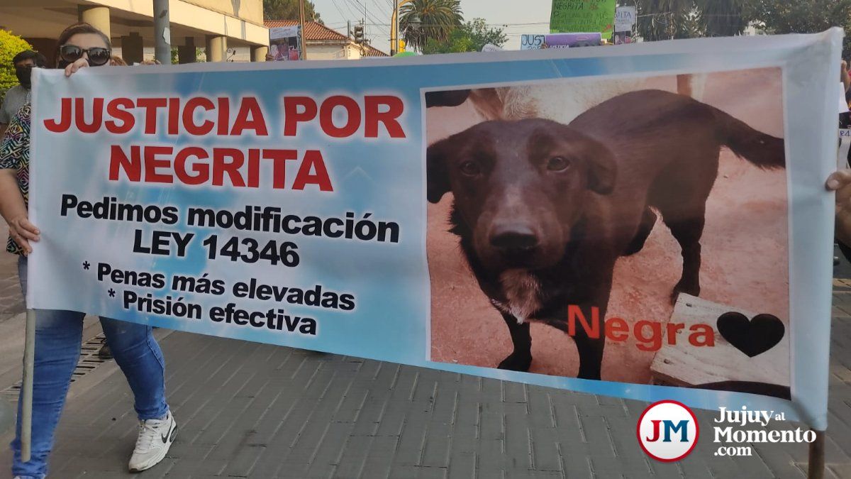 Crueldad animal: Hay policías que no toman las denuncias - Vimarsana News