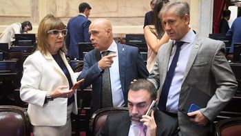 Senado: dialoguistas reclaman un guiño del Gobierno para incorporar leyes propias a la agenda legislativa