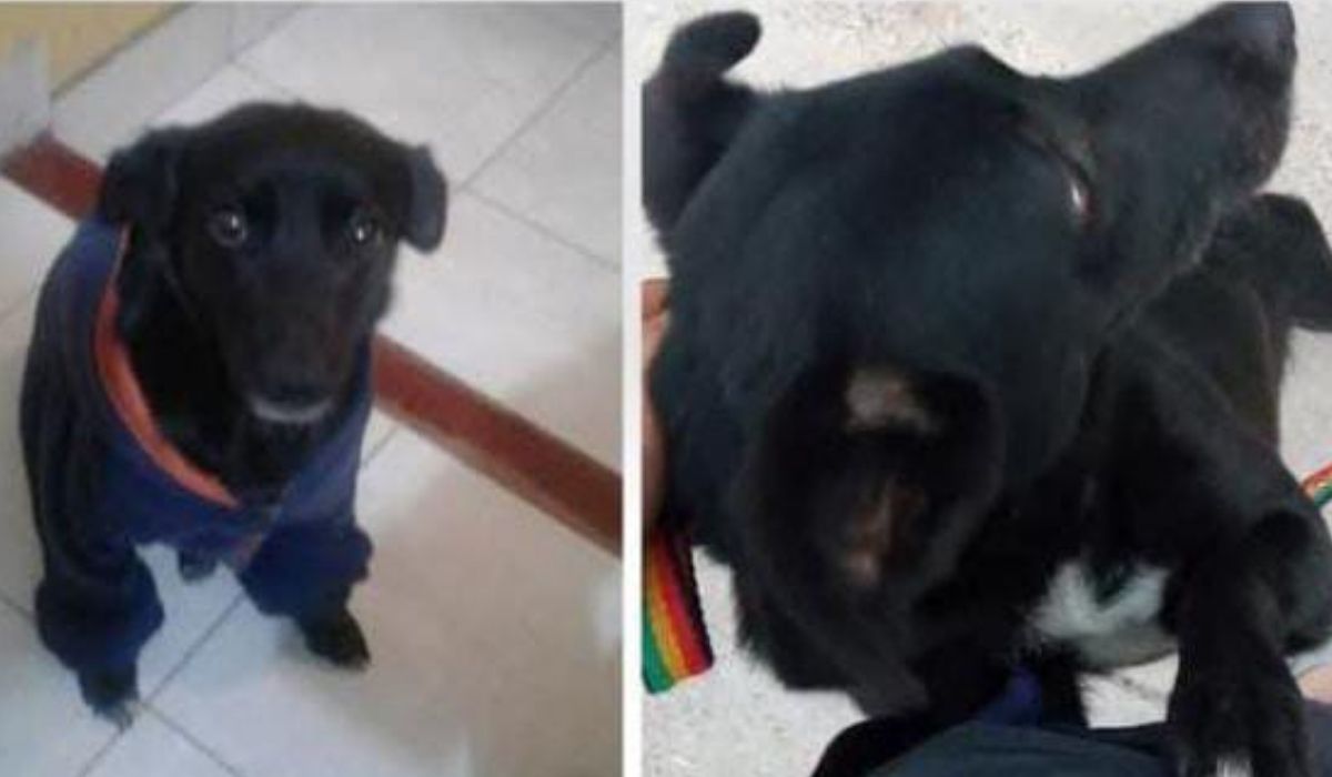 Barrio Los Huaicos: Yuki es buscada intensamente