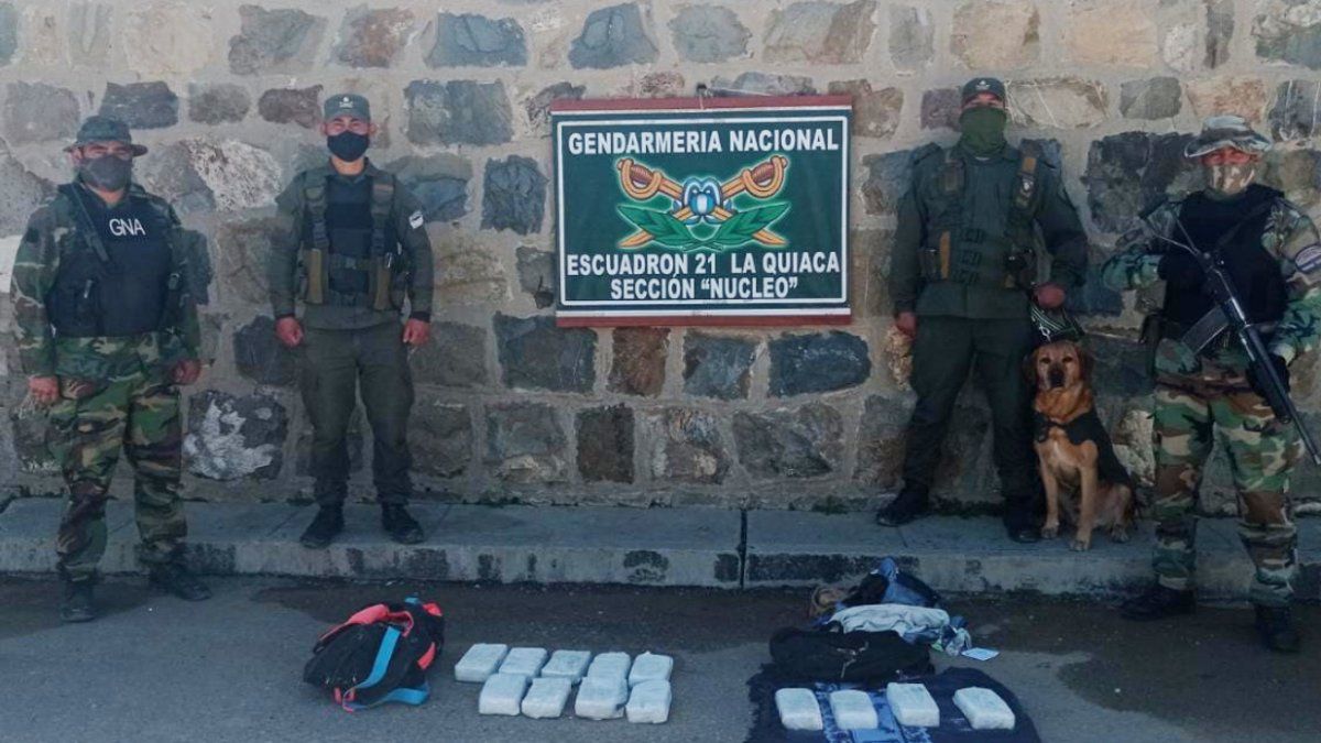 La Quiaca: Perro gendarme encontró 13 kilos de cocaína en un remis
