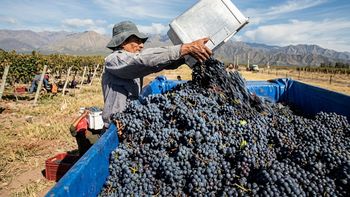 El grito de la agricultura familiar llega a 