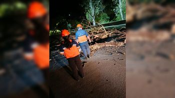 Viento zonda en Capital: voladura de techos, cables y garitas colapsadas por las ráfagas