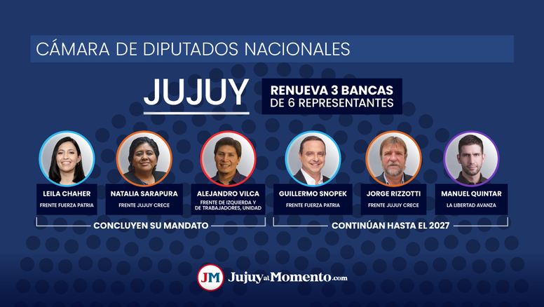 Jujuy elige diputados nacionales: a quiénes se les vence el mandato