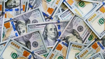 Los dólares financieros operan dispares