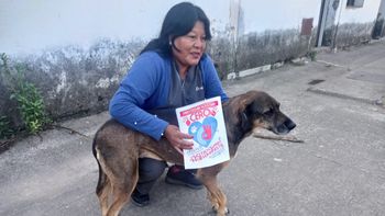 Proteccionistas se suman al pedido de Pirotecnia Sonora Cero en Jujuy