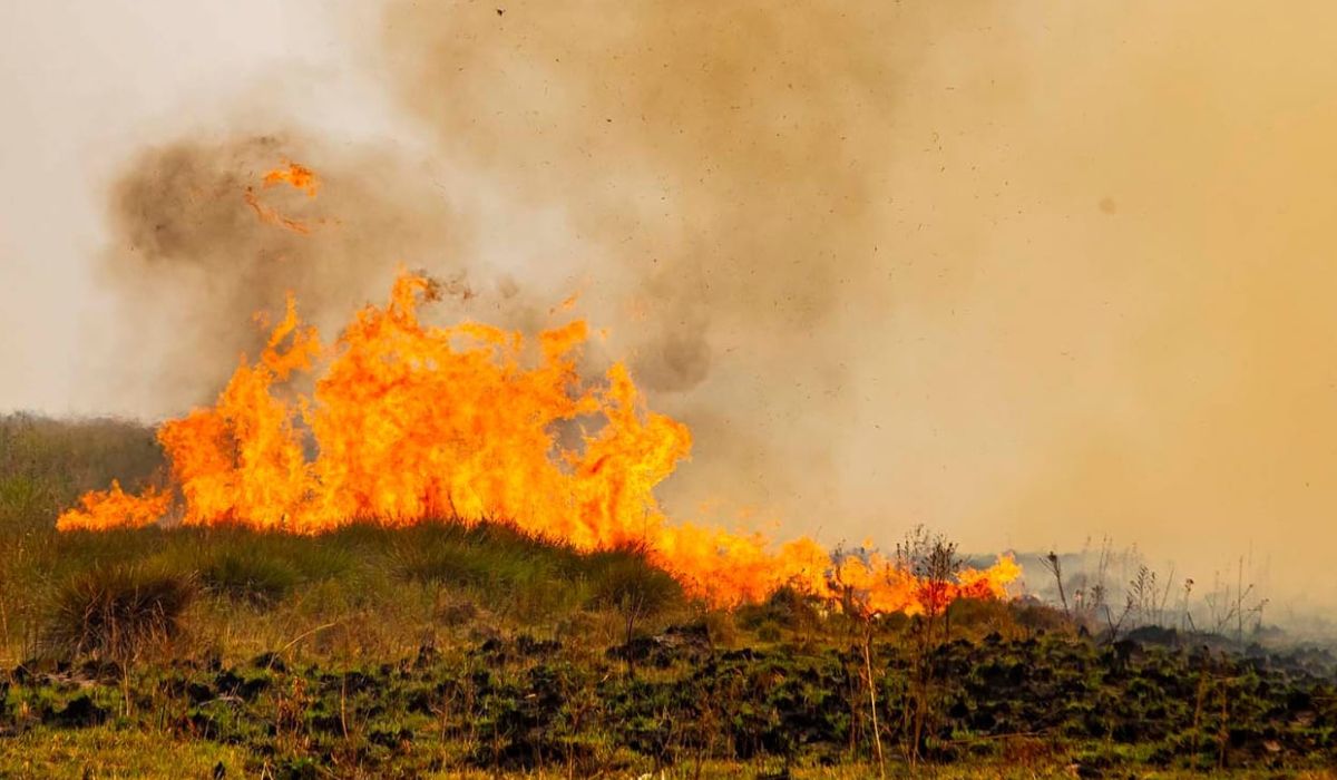 Voraz incendio en Yala de Monte Carmelo, una persona está desaparecida
