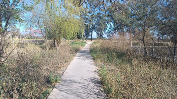 Abandono e inseguridad en una ciclovía entre Monterrico y Perico