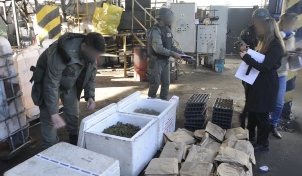 Gendarmería concretó la destrucción total de la marihuana secuestrada en La Caldera