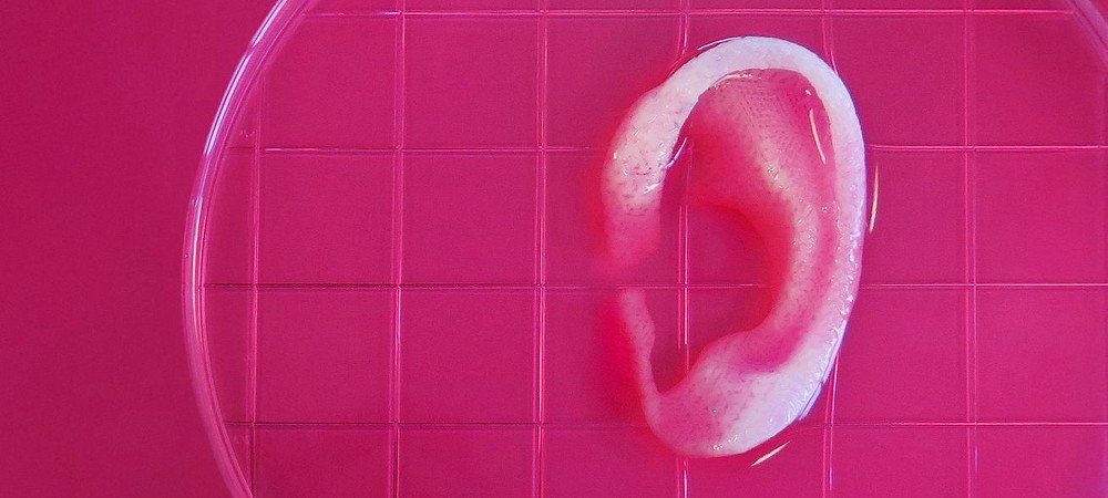 Mejoras en la impresión 3D de órganos