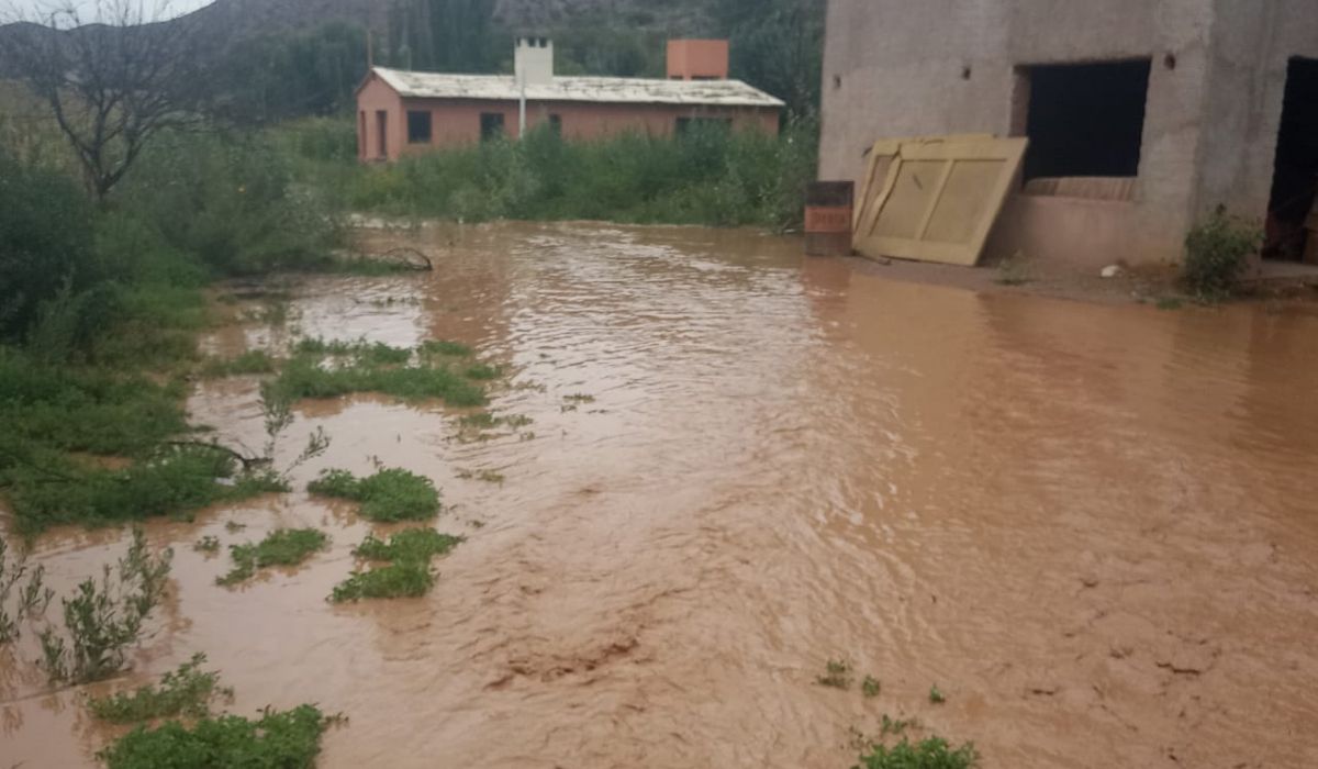 Sembradíos Arrasados Y Casas Inundadas Por La Tormenta En Angosto Del ...