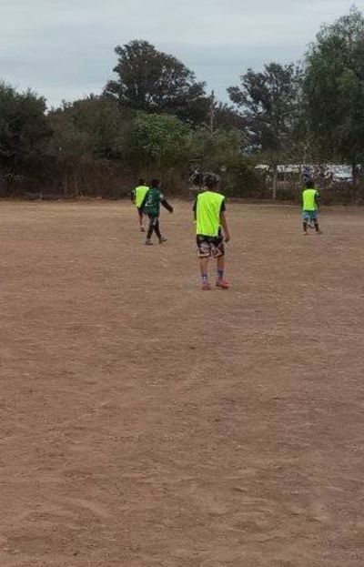 Por segundo año consecutivo, el Pincha de La Plata captará jugadores en Jujuy