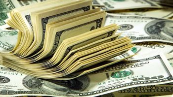 Dólar: La cotización libre subió a $219 y alcanzó un nuevo récord