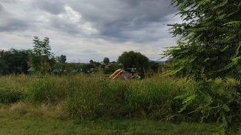 Abandono total del Parque Belgrano: repleto de maleza, insectos y alimañas