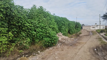 San José de Palpalá sigue padeciendo incontables problemas