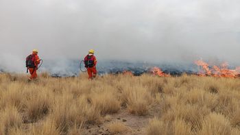 Alerta en Abra Pampa: sofocaron tres incendios forestales en menos de 24 horas