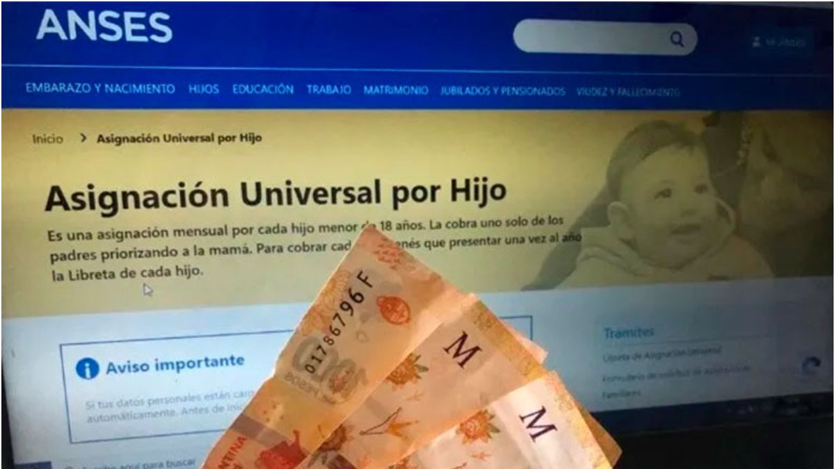 ANSES Fijó Los Nuevos Montos Para Las Asignaciones Familiares Por Hijo