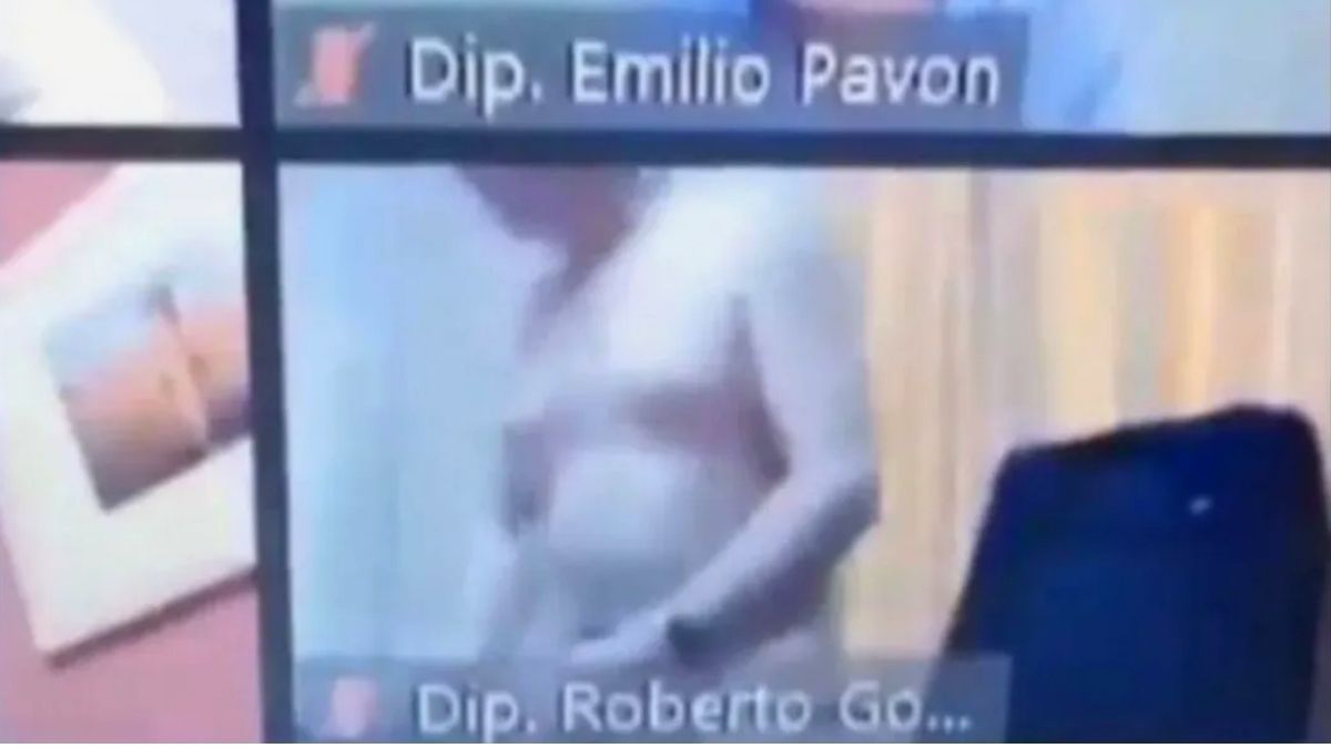 Un diputado apareció completamente desnudo en una sesión virtual