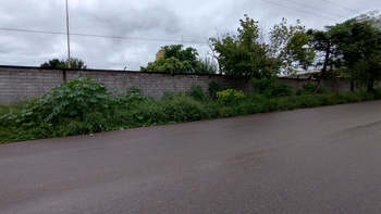 Escuela de Palpalá con el mismo problema de cada año: falta desmalezamiento