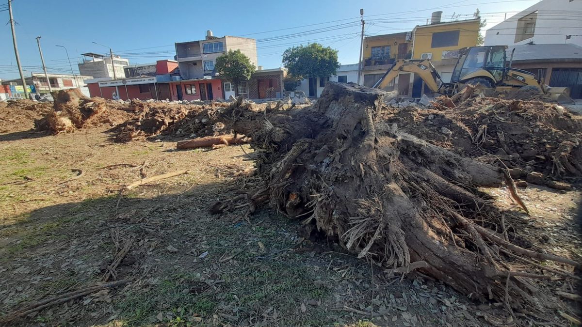 Más vecinos de Palpalá se oponen a la tala de árboles
