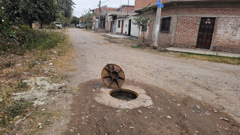 Perico también padece la pérdida de líquidos cloacales: 