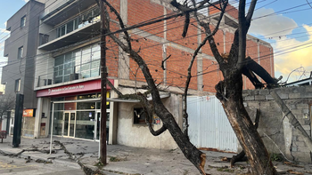 Árboles caídos, techos y cables volados: consecuencias de los fuertes vientos