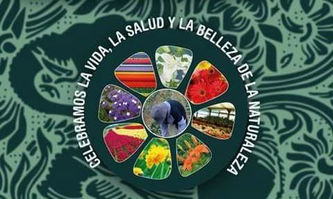 La Flor más Bella: VI Fiesta Provincial de Floricultura