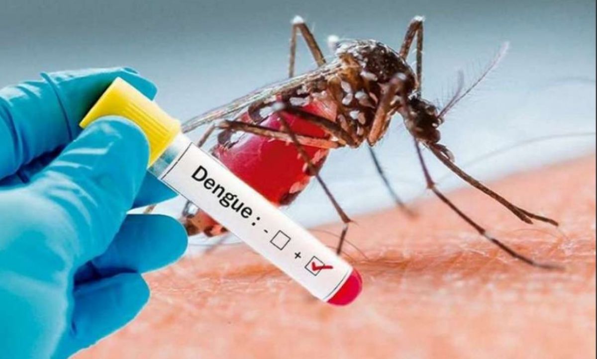 Alerta dengue: ya son 9.000 los casos confirmados en el país