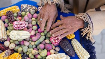 Caspalá realizará la 15° Feria de cultivos andinos para el rescate de las comidas ancestrales