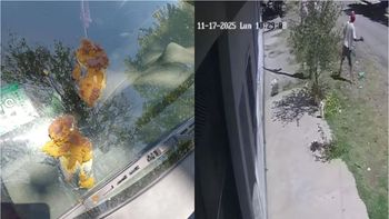 Terror por un vecino conflictivo en Perico: llegó a tirar excremento a los autos