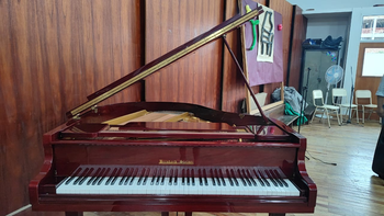 Logro comunitario en la Escuela de Música frente a carencias y abandono