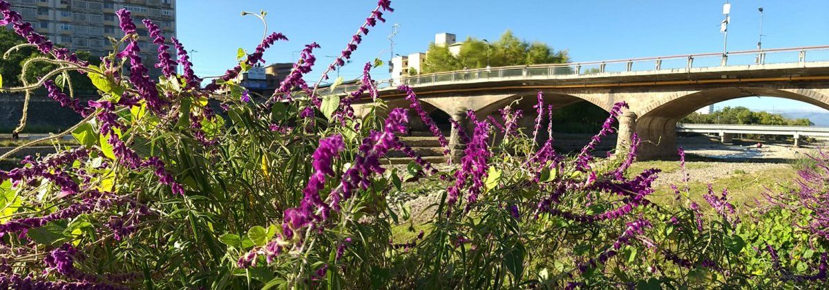 Altibajos de temperatura: así estará el fin de semana en Jujuy