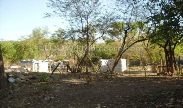 Desalojaron un nuevo asentamiento ilegal en la zona de Los Huaicos