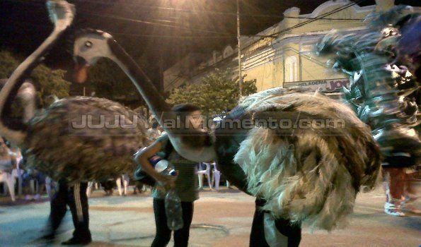 Exitosos corsos de Las Yungas