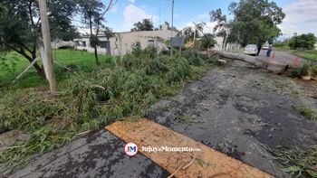 Fuertes vientos y posibles tormentas en Jujuy: prevención y recomendaciones 