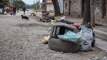 Alerta por Chikungunya en Jujuy: el cronograma de descacharrado
