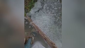 Denuncian contaminación en el 