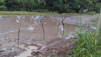 Tres días sin agua y calles de barro, el drama de vecinos en El Ceibal