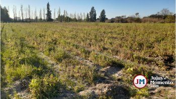 Preocupación en productores de Finca El Pongo: crisis hídrica y falta de apoyo