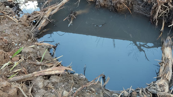 Vecinos reclaman por agua estancada y mosquitos en Sargento Cabral