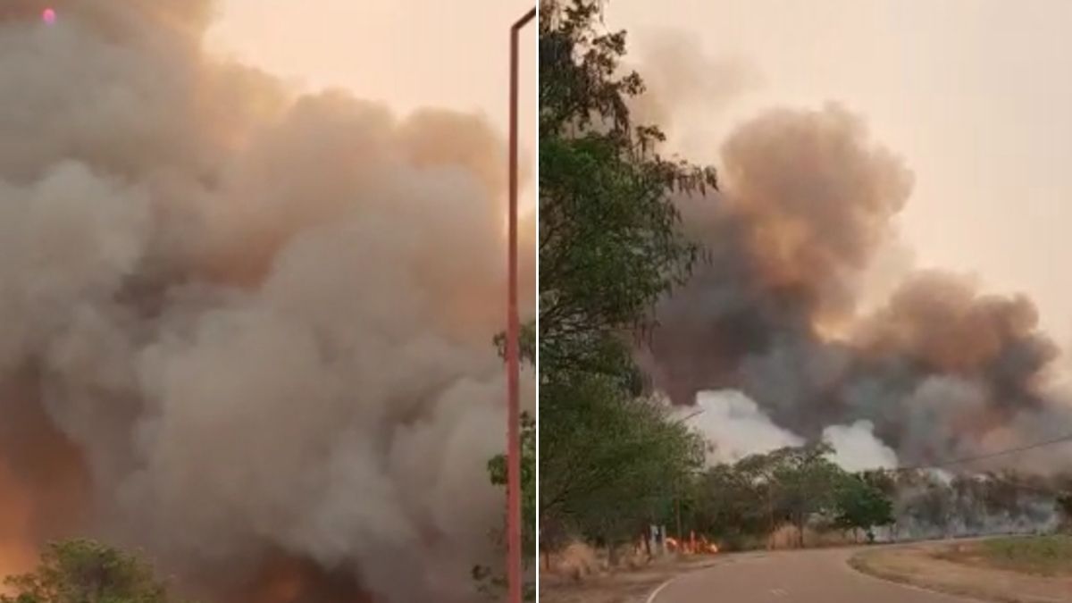 Impactantes videos del incendio que sufren las yungas jujeñas