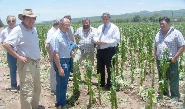 Autoridades recorrieron los tabacales afectados por el temporal